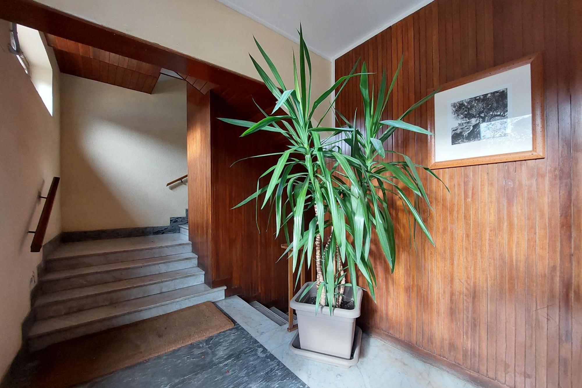 San Pietro'S Flat Leilighet Roma Eksteriør bilde